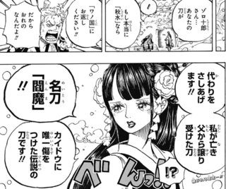 マンガ One Piece 秋水を和の国に返さなければならない理由とは マンガのことを書いたブログ